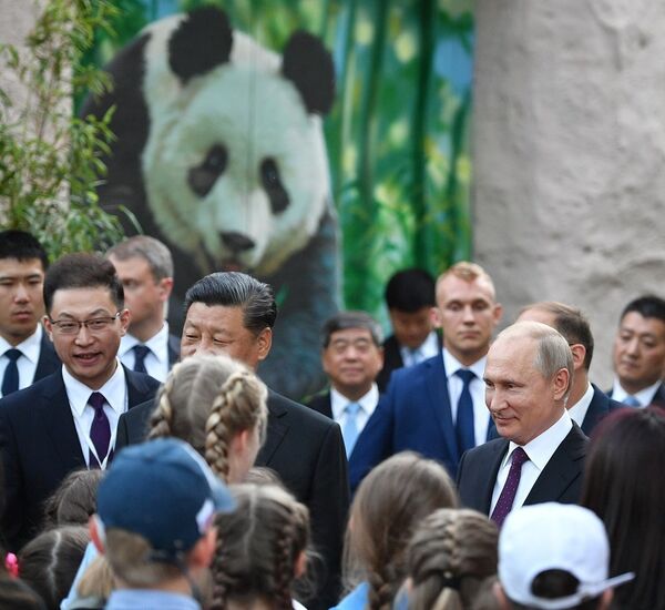 普京和习近平参观莫斯科动物园熊猫馆 普京和习近平参观莫斯科动物园熊猫馆 - 俄罗斯卫星通讯社