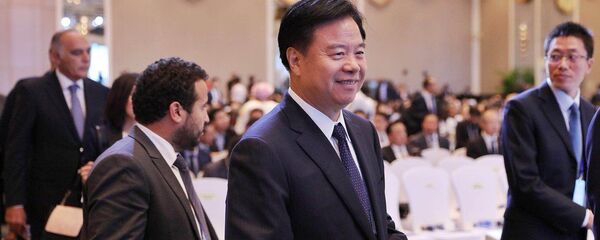 王宜林董事长 - 俄罗斯卫星通讯社