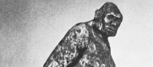 FBI公布“雪人”研究文件 - 俄罗斯卫星通讯社