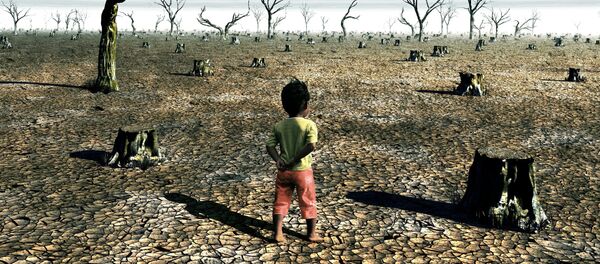 美国专家预言本世纪中叶将发生全球性气候灾害 - 俄罗斯卫星通讯社