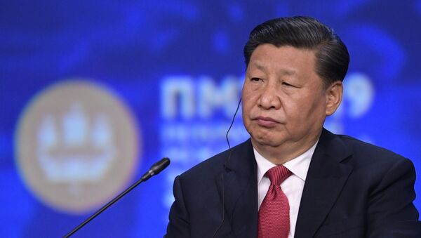 Председатель Китайской Народной Республики Си Цзиньпин на пленарном заседании Петербургского международного экономического форума 2019 - 俄羅斯衛星通訊社