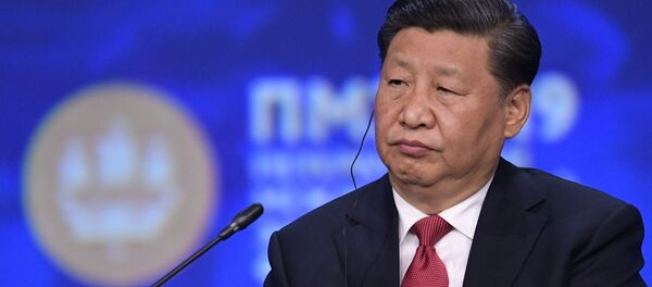 Председатель Китайской Народной Республики Си Цзиньпин на пленарном заседании Петербургского международного экономического форума 2019 - 俄罗斯卫星通讯社