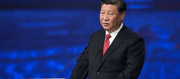 习近平：可持续发展是破解当前全球性问题的“金钥匙” - 俄罗斯卫星通讯社