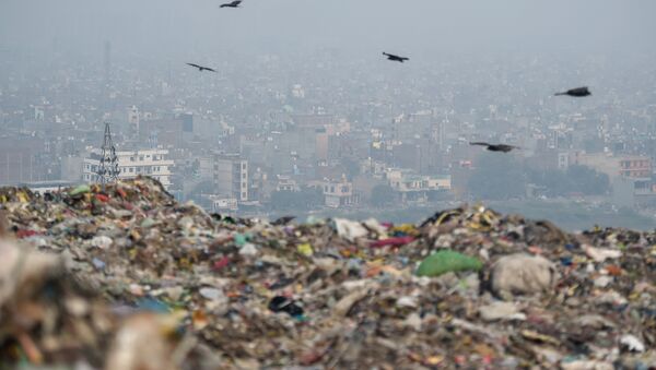 This picture taken on November 13, 2018, shows an Indian trash collector sitting on garbage at the Ghazipur landfill site in New Delhi. - 俄罗斯卫星通讯社
