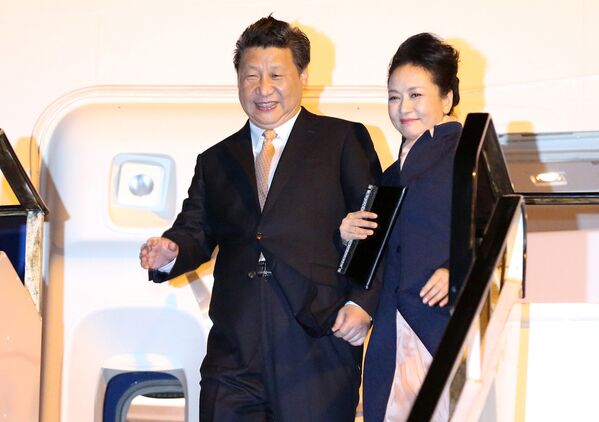 中國國家主席習近平攜夫人抵達奧克蘭國際機場 - 俄羅斯衛星通訊社
