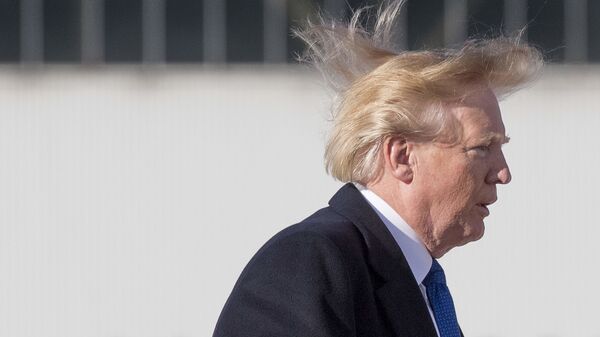 白宫：特朗普计划于3月31日至4月2日访问中国 - 俄罗斯卫星通讯社