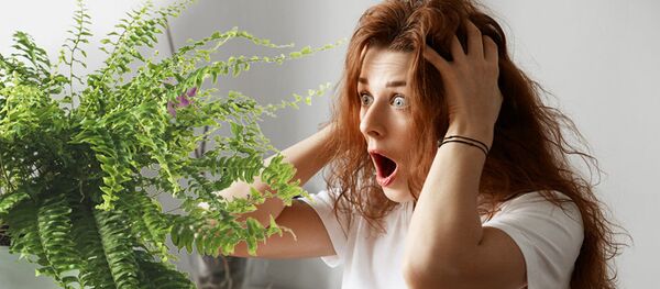 Психолог назвал самые распространенные страхи - 俄罗斯卫星通讯社