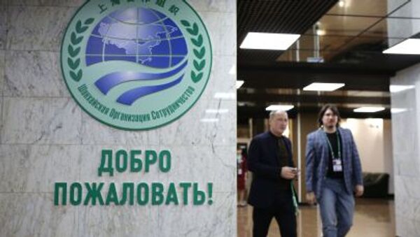 专家：上合组织即将再次迎来俄罗斯时间 - 俄罗斯卫星通讯社