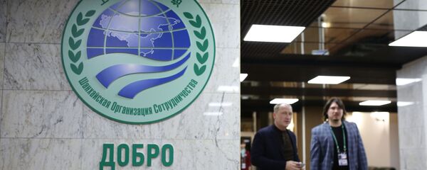 专家：上合组织即将再次迎来俄罗斯时间 - 俄罗斯卫星通讯社