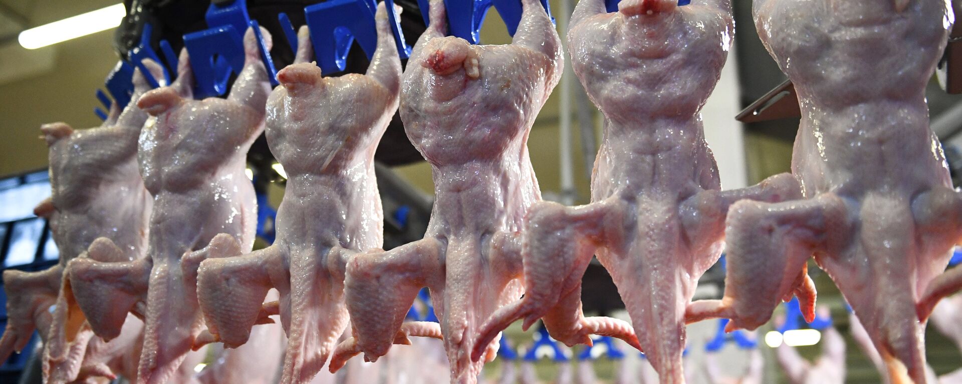 禽肉食品在發往中國前外包裝均經過新冠檢測 - 俄羅斯衛星通訊社, 1920, 04.02.2021