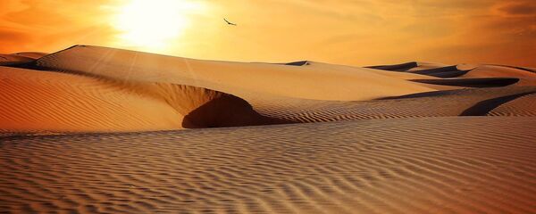 Пустыня - 俄罗斯卫星通讯社