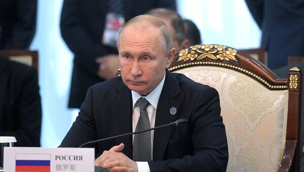 普京称反恐是上合首要任务 - 俄罗斯卫星通讯社