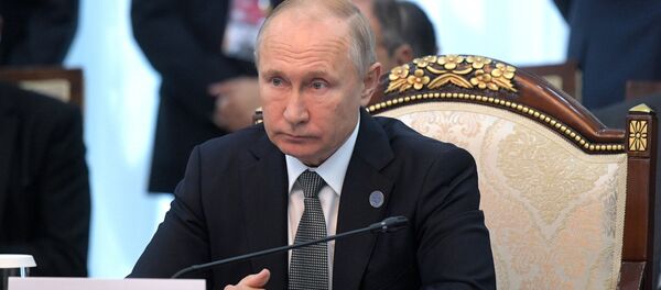 普京称反恐是上合首要任务 普京称反恐是上合首要任务 - 俄罗斯卫星通讯社