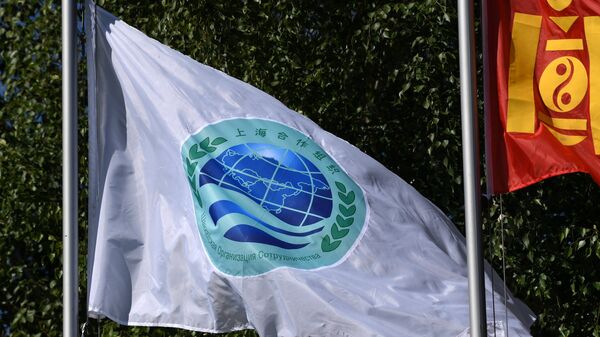 克宫：中国将从哈萨克斯坦手中接任上合组织主席国 - 俄罗斯卫星通讯社