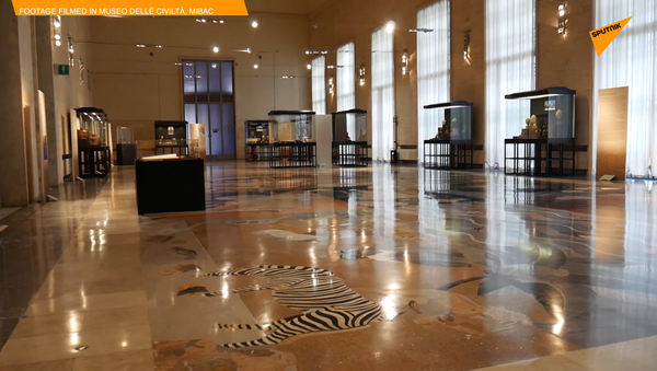 意大利计划重新开放昔日“殖民博物馆” - 俄罗斯卫星通讯社