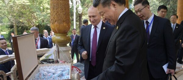 普京祝习近平生日快乐 送俄罗斯冰淇淋 - 俄罗斯卫星通讯社