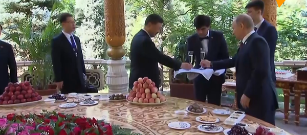 普京祝习近平生日快乐并赠送俄罗斯冰淇淋 - 俄罗斯卫星通讯社