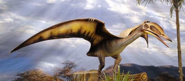 翼龍 - 俄羅斯衛星通訊社