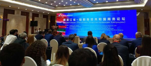 王文涛：地方合作是促进中俄关系的重要力量和经济发展的增长点 - 俄罗斯卫星通讯社