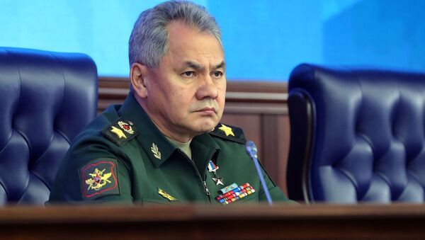 俄防長：制訂新的作戰理論是未來主要任務 - 俄羅斯衛星通訊社