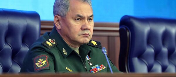 俄防長:制訂新的作戰理論是未來主要任務 俄防長:制訂新的作戰理論是未來主要任務 - 俄羅斯衛星通訊社