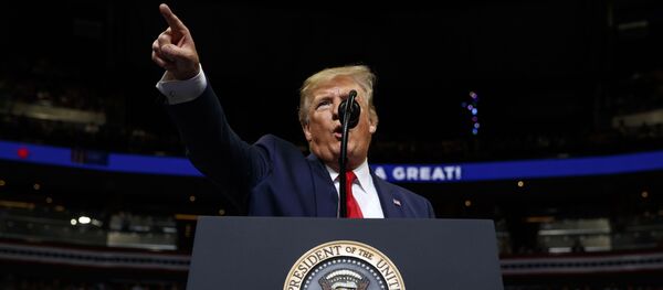 美媒稱，特朗普週四本已批准打擊伊朗但又反悔 - 俄羅斯衛星通訊社