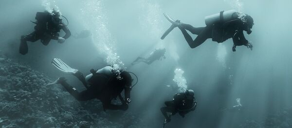 蛙人袭击港口成为恐怖主义的新形势 - 俄罗斯卫星通讯社