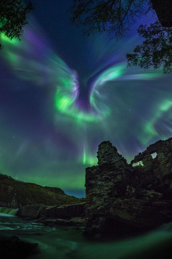 俄羅斯攝影師亞歷山大·斯傑潘年科 的作品Aurora is a bird - 俄羅斯衛星通訊社