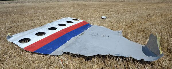 马航MH17 - 俄罗斯卫星通讯社