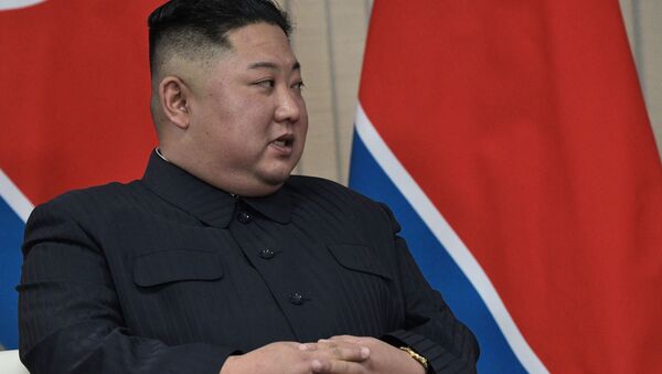金正恩：朝鲜准备在解决朝鲜半岛问题上表现出耐心 - 俄罗斯卫星通讯社