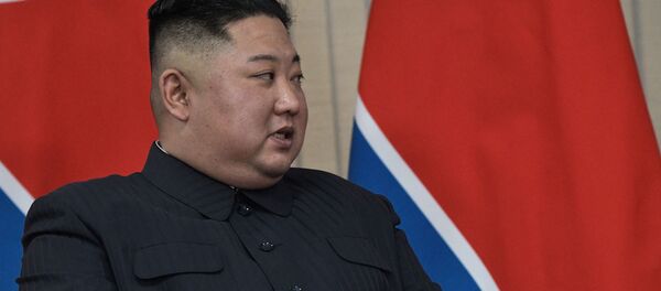 金正恩：朝鮮準備在解決朝鮮半島問題上表現出耐心 - 俄羅斯衛星通訊社