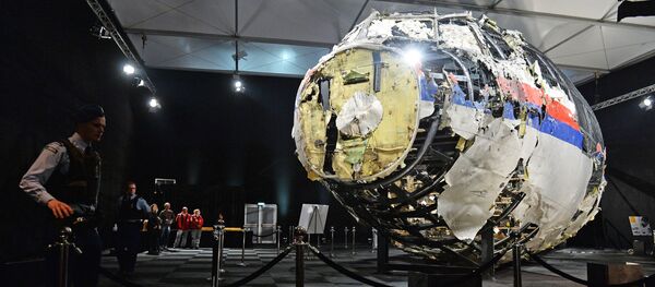 馬來西亞外交部：希望能拿出MH17空難的具體證據 - 俄羅斯衛星通訊社