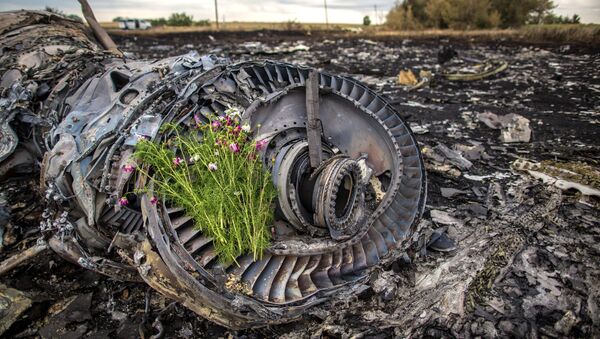 德國偵探擬提供有關馬航MH17事件新資料遭荷蘭拒絕 - 俄羅斯衛星通訊社