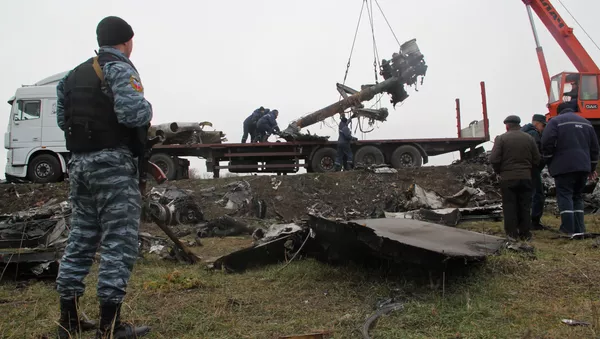 普京：沒有證據表明俄羅斯參與製造馬航MH17空難 - 俄羅斯衛星通訊社