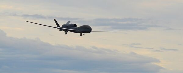 无人机 - 俄罗斯卫星通讯社