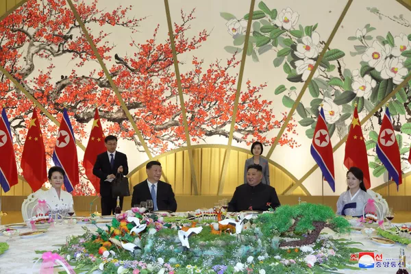 中國國家主席首次對朝鮮進行國事訪問 - 俄羅斯衛星通訊社