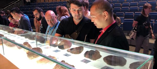 加里寧格勒最貴琥珀拍出 買主為香港人 - 俄羅斯衛星通訊社