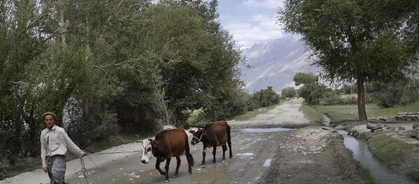 中国与塔利班谈判，在阿富汗坚守本国利益 - 俄罗斯卫星通讯社