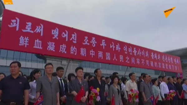 中國國家主席首次對朝鮮進行國事訪問 - 俄羅斯衛星通訊社