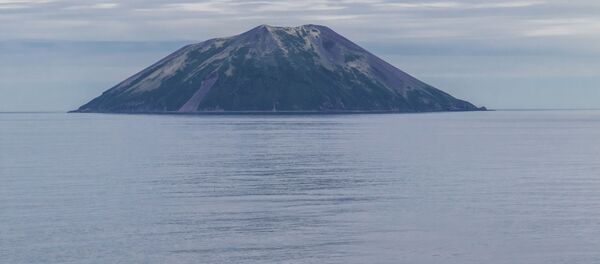 G20官网发布视频 日本将南千岛群岛标注为本国领土 G20官网发布视频 日本将南千岛群岛标注为本国领土 - 俄罗斯卫星通讯社