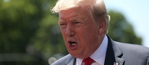 Дональд Трамп - 俄罗斯卫星通讯社