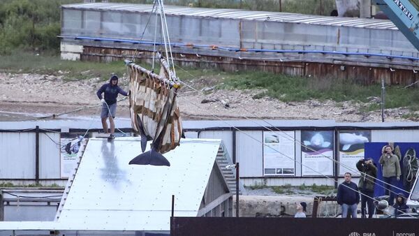 “鯨魚監獄”的虎鯨和白鯨被運到放生地 - 俄羅斯衛星通訊社
