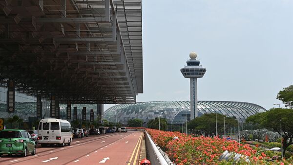 Международный аэропорт Чанги в Сингапуре - 俄罗斯卫星通讯社
