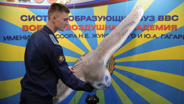 “軍隊-2019”論壇展示雪鴞外形無人機 - 俄羅斯衛星通訊社
