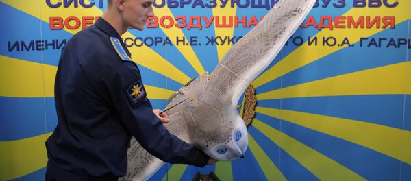 “军队-2019”论坛展示雪鸮外形无人机 “军队-2019”论坛展示雪鸮外形无人机 - 俄罗斯卫星通讯社