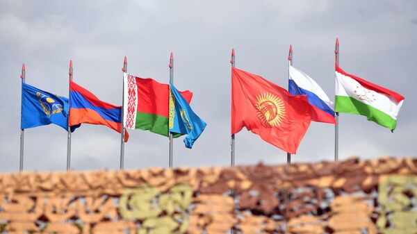 集安组织旗帜 - 俄罗斯卫星通讯社