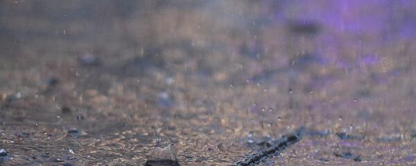 大雨 - 俄罗斯卫星通讯社