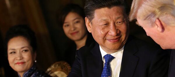 习近平与特朗普 - 俄罗斯卫星通讯社