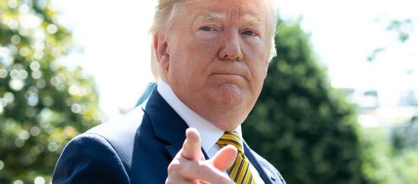 特朗普指责中国和欧洲操纵汇率 - 俄罗斯卫星通讯社