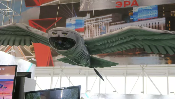 俄“軍隊-2019”論壇展示最新鳥形偵察無人機 - 俄羅斯衛星通訊社
